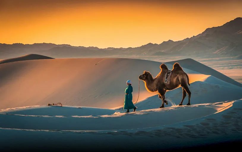 Gobi in two days: camels, cliffs, stars