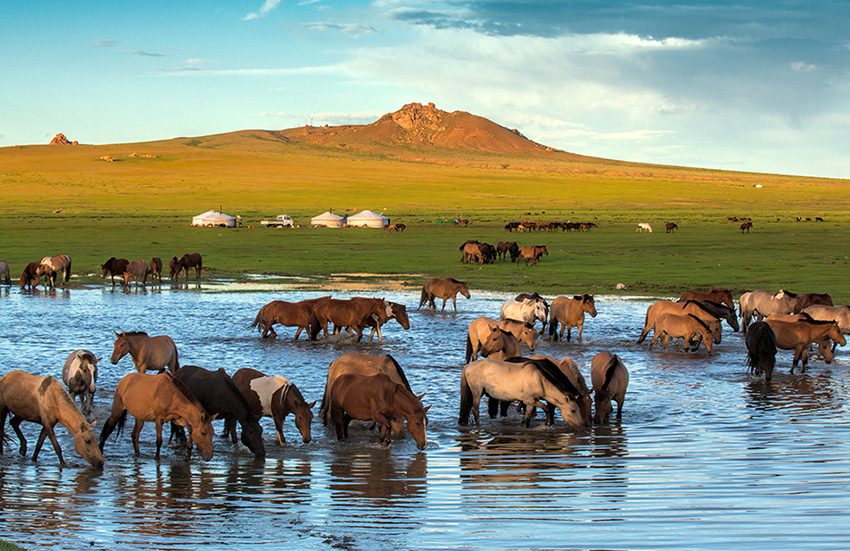 Orkhon Valley Ger Camp