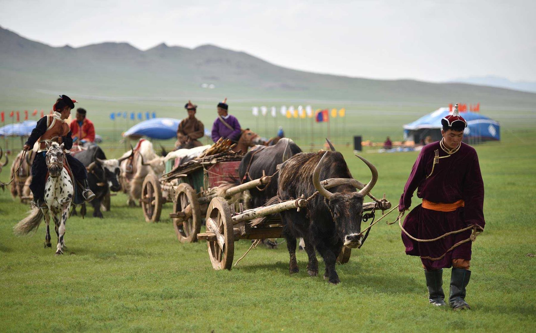 Yak Festival, Khangai