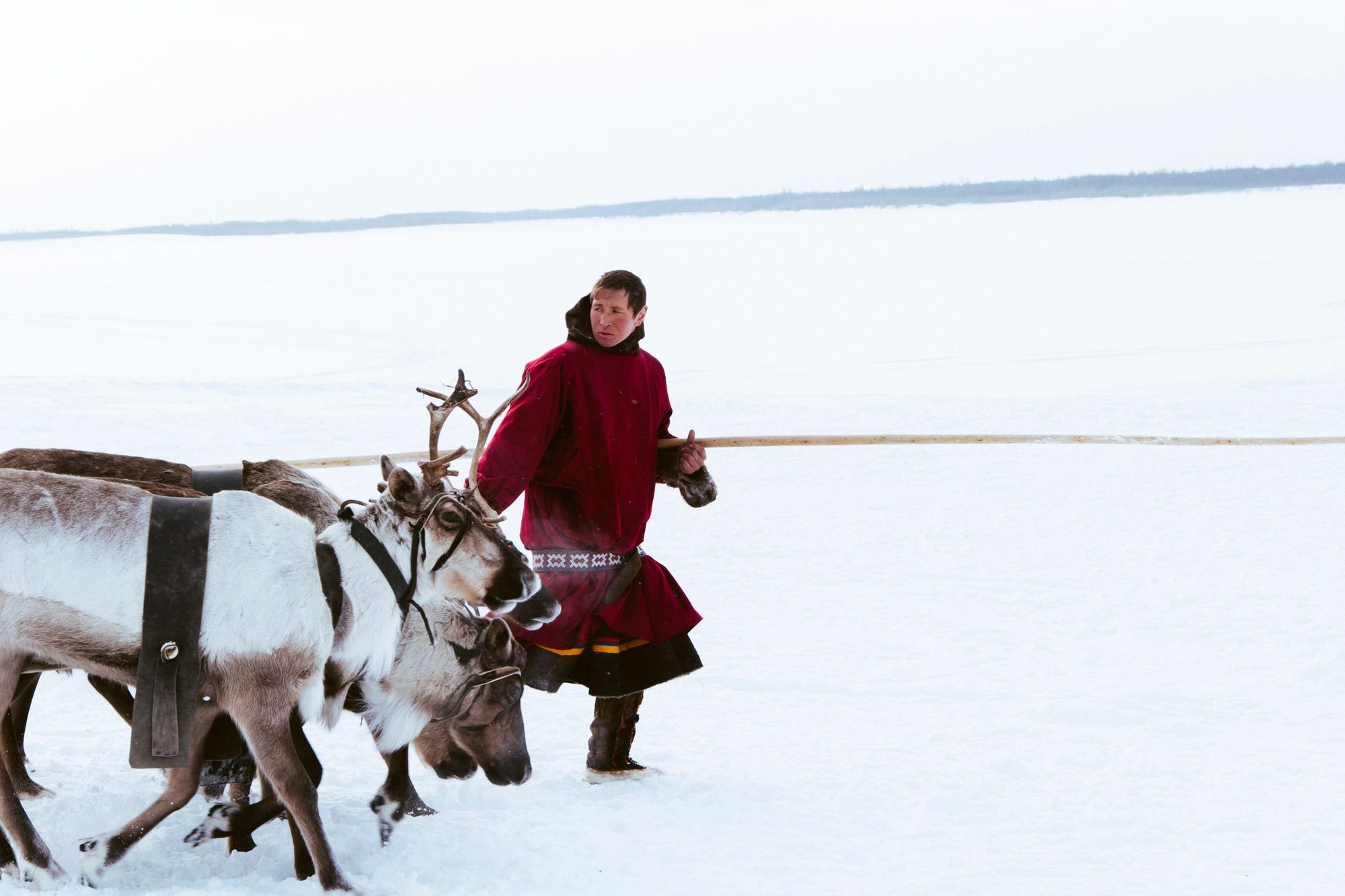 The Reindeer People and Khuvsgul Lake